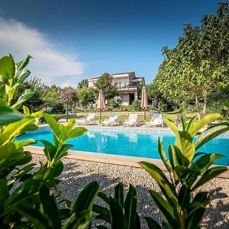 Flower Garden With Pool Vila